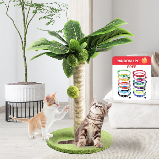 Kratzbaum für Katzen